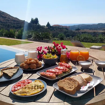 Alekos Houses-profilio's فيلة *